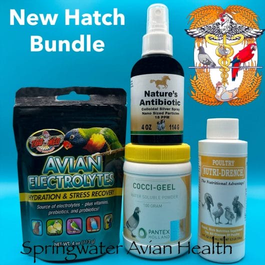 Zoo Med Avian Electrolytes, Pantex Cocci-geel, Healthline Nutrition Silver Spray and BoviDr Poultry NutriDrench products.