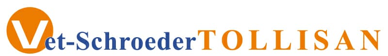 VS Tollisan banner logo