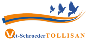 VS TOllisan Logo